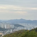 로드파크가로공원 이미지