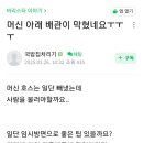 아래 이미지