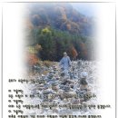 이영성 이미지