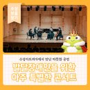 공연장 상주단체(명상음악회) | 수성아트피아에서 만난 따뜻한 공연 발달장애인을 위한 아주 특별한 콘서트 후기
