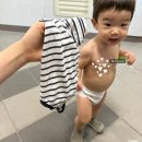 코터리(Coterie) | 기저귀 정착기! 밤보네이처 밤보드림,밤보그린,하기스,킨도, 보솜이, 코터리 팬티형 기저귀 사용 후기♪
