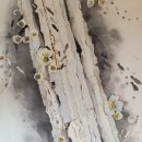 금강기획 - 장수군 장천로 222-2 | 금강기획
