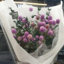 대천리중학교 이미지