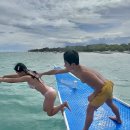 고고 | 보홀 프리다이빙 스노쿨링 포인트 고고다이브 후기