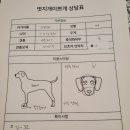 서리네펫살롱 이미지