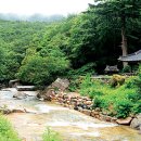 왕소나무길 네이버블로그