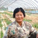 박춘녀 이미지