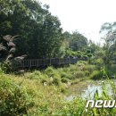 운곡지구 공원 이미지