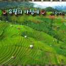 유월의아침 이미지