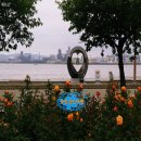 비데랜드 이미지