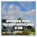 율곡관광농원 야영장 | 율곡관광농원 1박2일: 자연 풍경은 좋았지만 벌레와의 전쟁