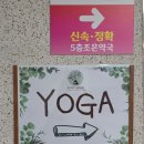 활법운동체형관리명상수련 | 미금역요가 미금요가 찾는다면 에잇핏요가 미금점 체험 후기