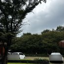 존엔존피시카페 | 가평 북한강 이색 대형 카페 추천 메콩카페