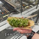 타코야끼인문어 - 서구 승학로 223 | 오사카 우메다 타코야끼맛집 하나다코｜네기마요 6개 주문하고 후회한 솔직후기