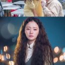 헤인헤어 이미지