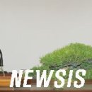 색달동-14 이미지