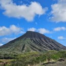 승진농장 | 하와이코코크레이터, 할로나블로우홀, 마카다미아농장, 돌플렌테이션, 쿠알로랜치, 페이머스 카후쿠...