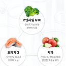 [내돈내산] 강아지 영양제 리브펫 브레스, 스킨앤코트