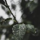 금오아파트 이미지