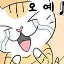 제주미니호텔 이미지