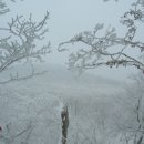 해미 오름산악회 2011년 1월 정기산행 한라산 1박2일 이미지
