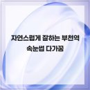 다;가꿈
