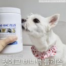 R. 배에서 꾸르륵소리! 강아지 고양이 장건강지켜 "비니백 플러스" 유산균