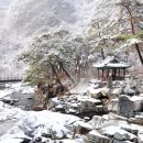 유수농산 이미지