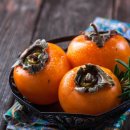 홍성농장 이미지