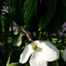 마이산민박 이미지