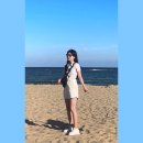 다시 돌아온 부산 혼자여행과 창원_8.12~8.15