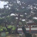 미륵리 마을회관 이미지