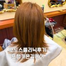 가온길 | 포항미용실 가온길헤어 모도스클리닉 후기