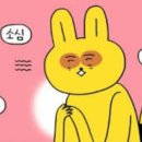 활밤로 이미지