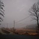 옥화자연휴양림 국민여가오토캠핑장 이미지