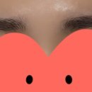 리사브로우 이미지