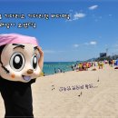사근진해수욕장운영위원회 이미지