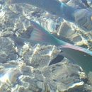 호수민박 이미지