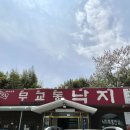 일가무교동낙지 이미지