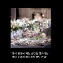 국제웨딩컨벤션(주) 이미지
