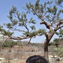 광명농원 이미지