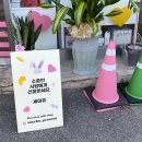 세이츄