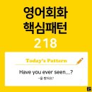 [초중급편 218] 'Have you ever seen 명사?'((명사)를 봤어요?) 이미지