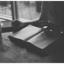 지오헤어 이미지