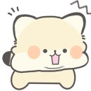 하얀냥냥이