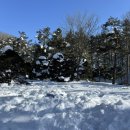 삼양목장, 감자바우 장칼국수, 기념품샵, 달떡젤라또, 어머야라케이크, 강릉옥수수빵 내돈내산 후기)