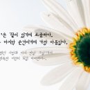 제일라이프 이미지