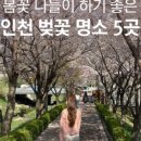 만월어린이공원 이미지