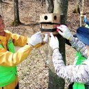 새야새야 이미지