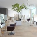 Salon The 문 이미지
